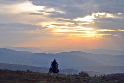 Mogielica Beski Wyspowy