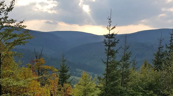 Kowadło (988 m n.p.m.) – najwyższy szczyt Gór Złotych