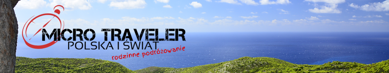 Micro Traveler