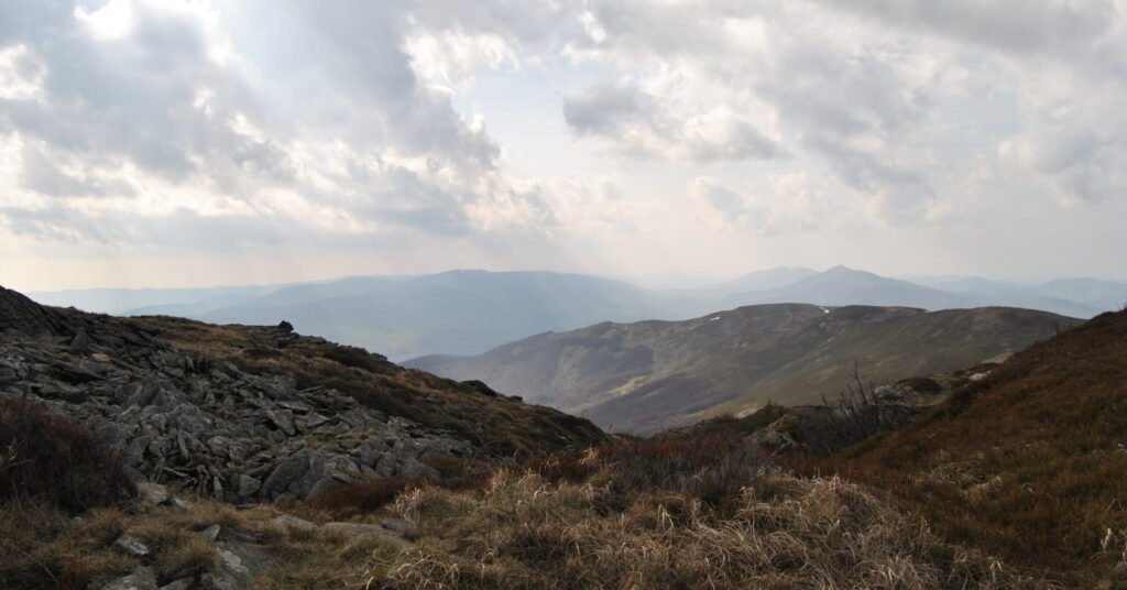 Tarnica